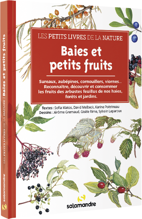Les petits livres de la nature - Baies et petits fruits