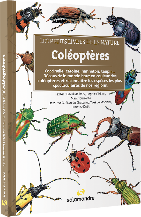 Les petits livres de la nature - Coléoptères