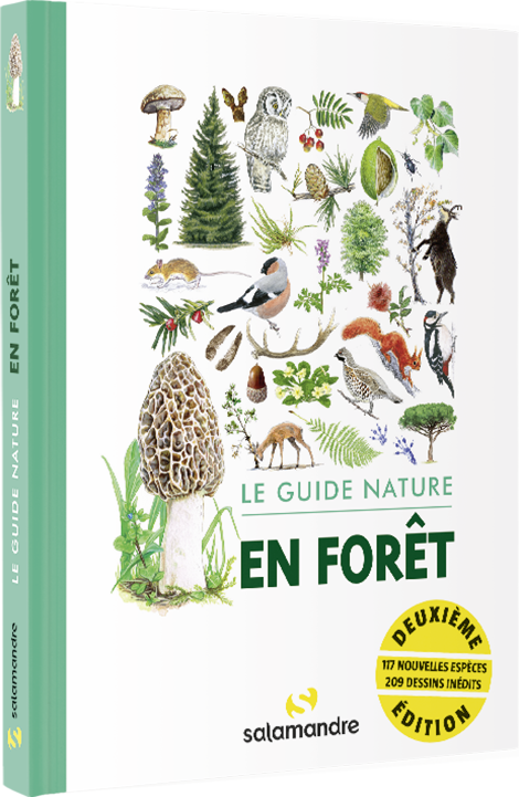 Livre-Le-guide-nature-en-foret