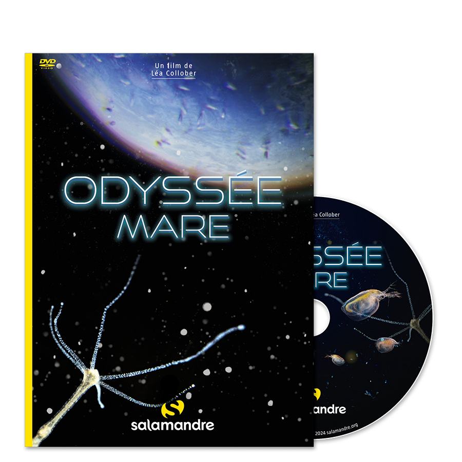 DVD Odyssée mare