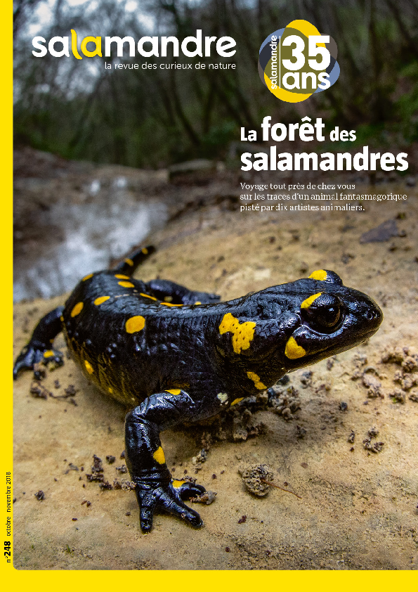 La forÃªt des salamandres (NÂ°248)