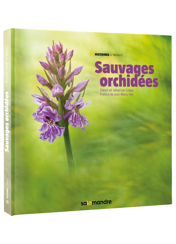 Livre-Sauvages-orchidees